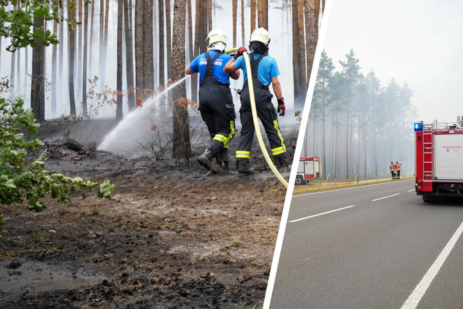 Waldbrand bei Hoyerswerda: Flammen zerstören einen Hektar Land!