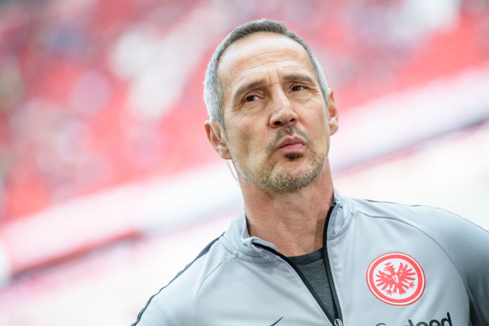 Eintracht Frankfurts Coach Adi Hütter.