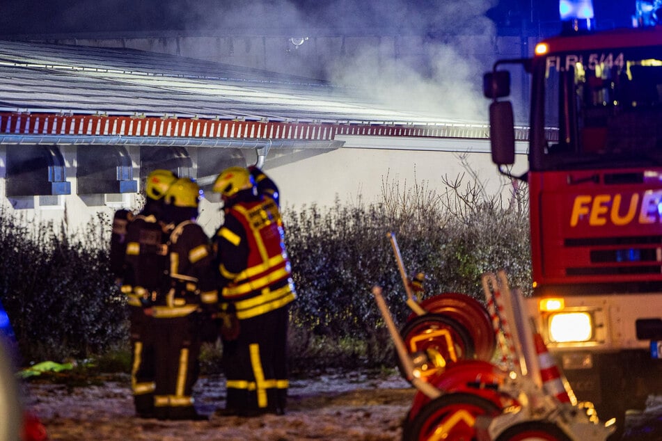 500 Schweine sterben bei Feuer in Südhessen: Polizei vermutet Brandstiftung