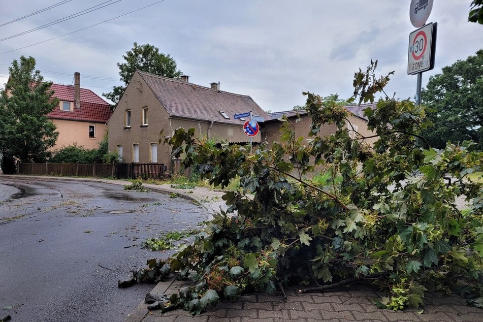 Ein Unwetter zog am Samstag durch Leipzig - an einigen Orten brachen Äste von Bäumen ab.