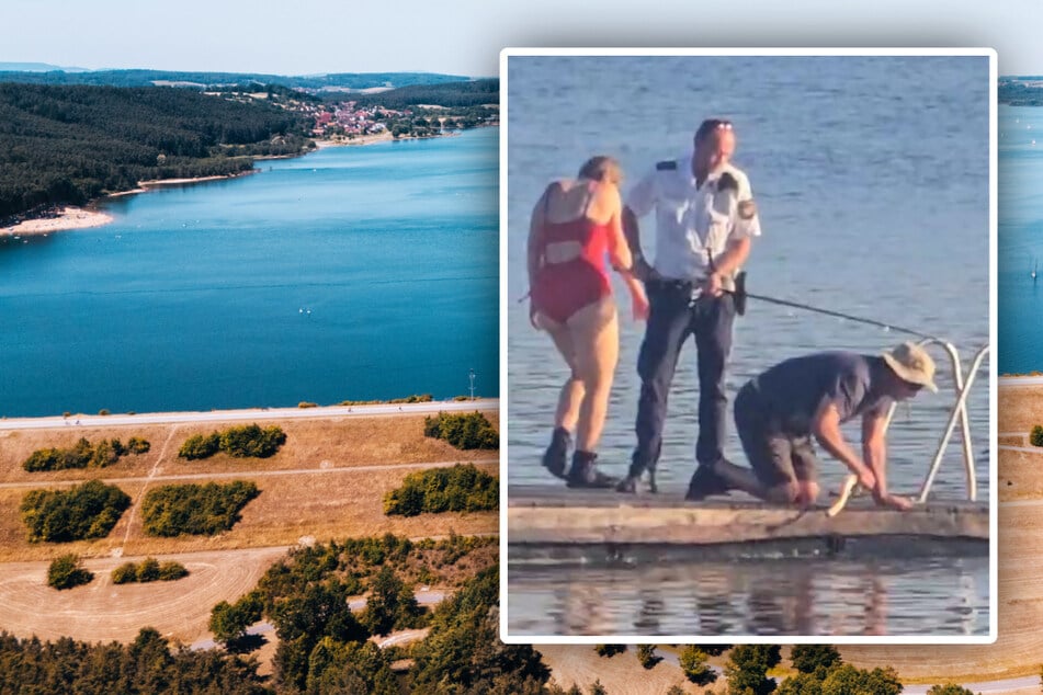 Waller-Attacke in beliebtem Badesee: Fünf Menschen verletzt, Polizei erschießt Fisch