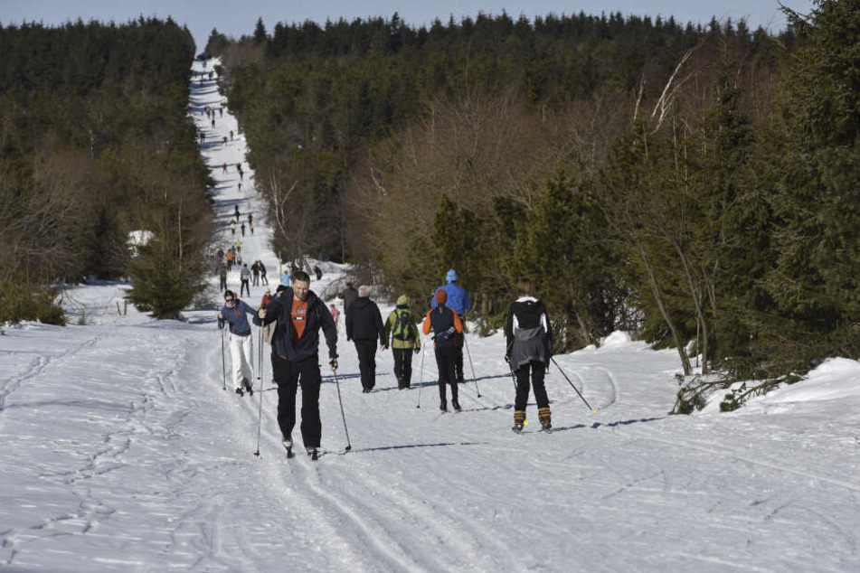 Im Winter kann es wegen notwendigen Waldarbeiten zu Sperrungen von Loipen kommen.