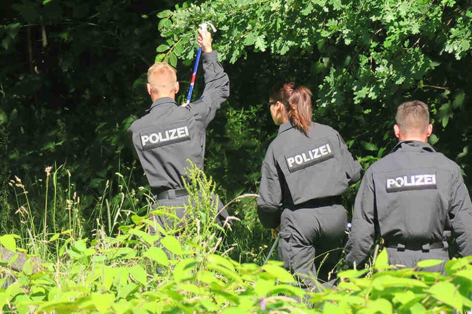 Polizisten suchten am Mittwoch in dem in der Nähe der A9 gelegenen Veldensteiner Forst nach der Leiche.