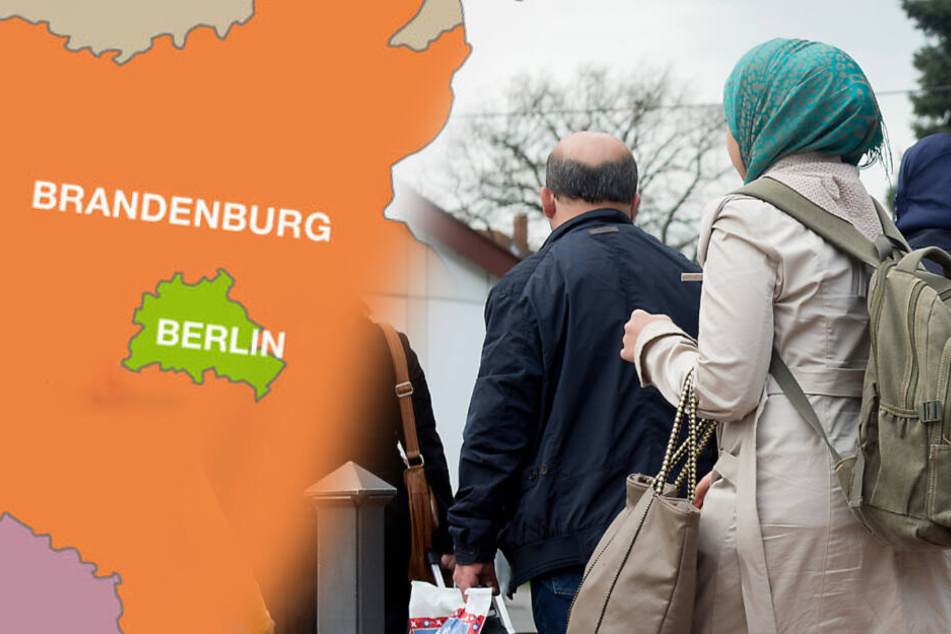 Insgesamt 414 Asylbewerber reisten von Januar 2018 bis zum heutigen Tage freiwillig aus Brandenburg aus. (Symbolfoto)