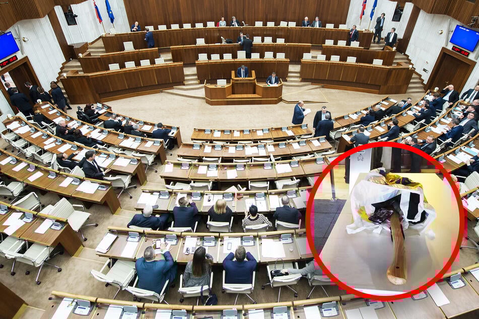 Mann will mit Beil ins Parlament: "Politiker haben mein Leben ruiniert!"