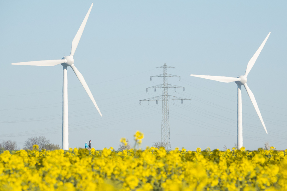 Den größten Anteil an der gesamten Stromerzeugung in Sachsen-Anhalt im Jahr 2020 hatte die Windkraft. (Symbolbild)