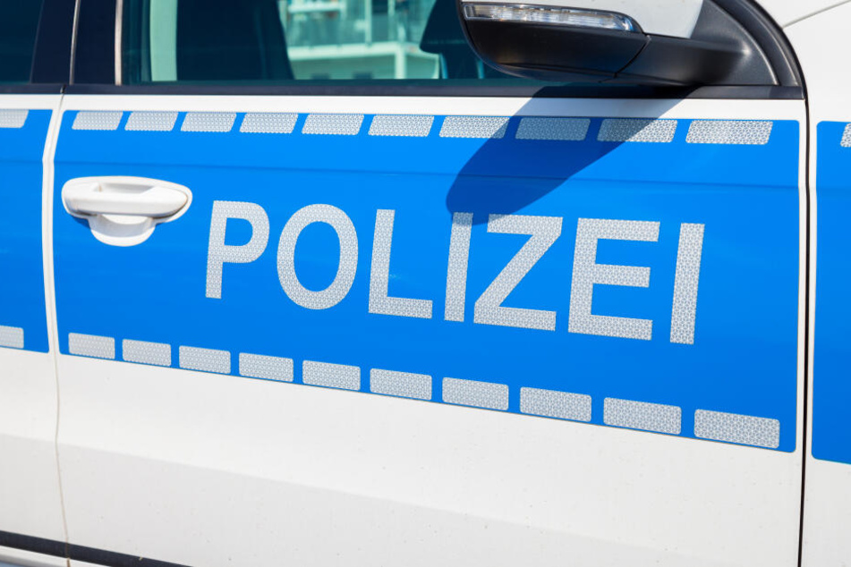 Bei einer Kontrolle fanden die Beamten in einem Viehtransport 143 Schweine, die völlig dehydriert und in einem äußerst schlechten Gesundheitszustand waren. (Symbolbild)