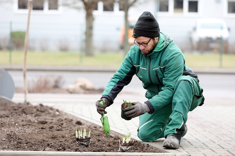 Anpacken und gestalten: Das ist die Motivation der Gärtner im Garten- und Landschaftsbau der ITB-Dresden GmbH.