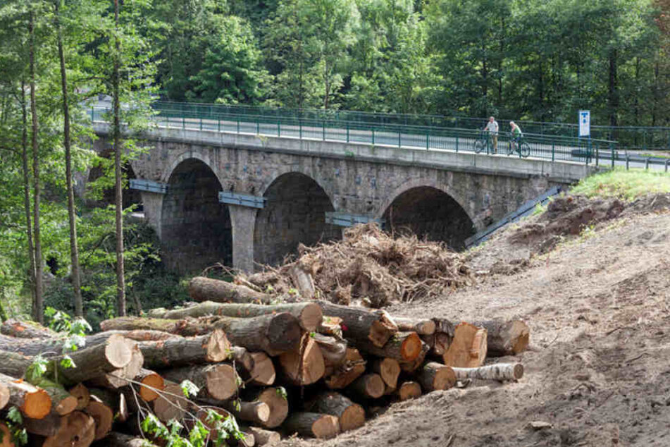p.p1 {margin: 0.0px 0.0px 0.0px 0.0px; font: 12.0px 'Times New Roman'}
Für den Neubau der Muldenbrücke in Bockau werden Bäume gefällt, um Platz für die Baumaschinen zu schaffen.