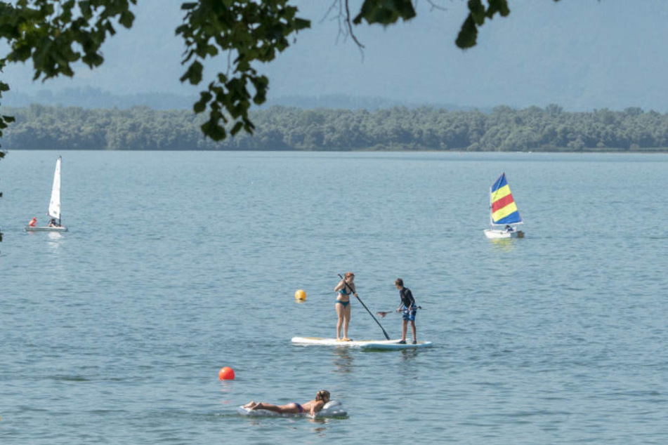 Am Chiemsee hat ein Hund eine Frau angefallen und schwer verletzt. (Symbolbild)