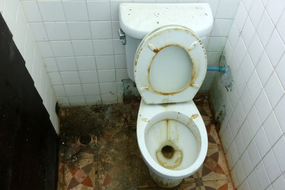 Ein Neuseeländer darf auf der Toilette nicht mehr spülen. (Symbolbild)