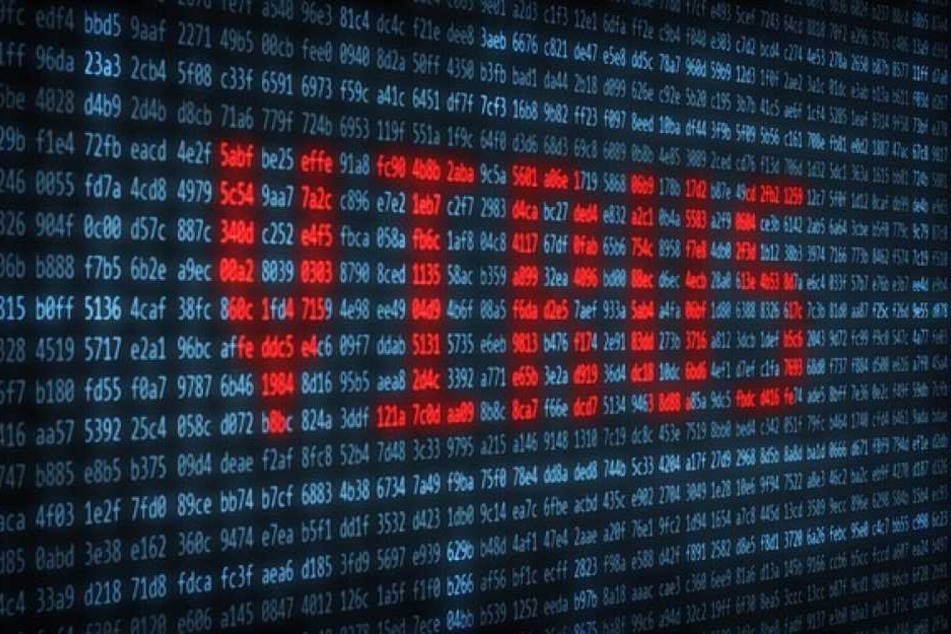 Vor allem Windows-Nutzer sollten in eine effektive Sicherheitssoftware investieren, um die Gefahr von Computerviren einzudämmen.