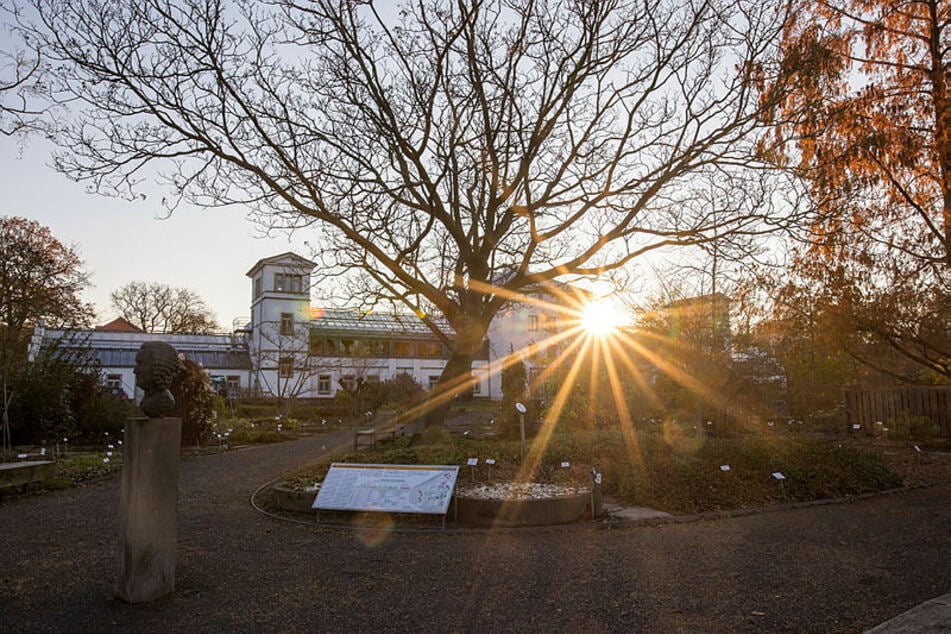 Der Botanische Garten der Leipziger Uni lädt zum Sommerkonzert ein.