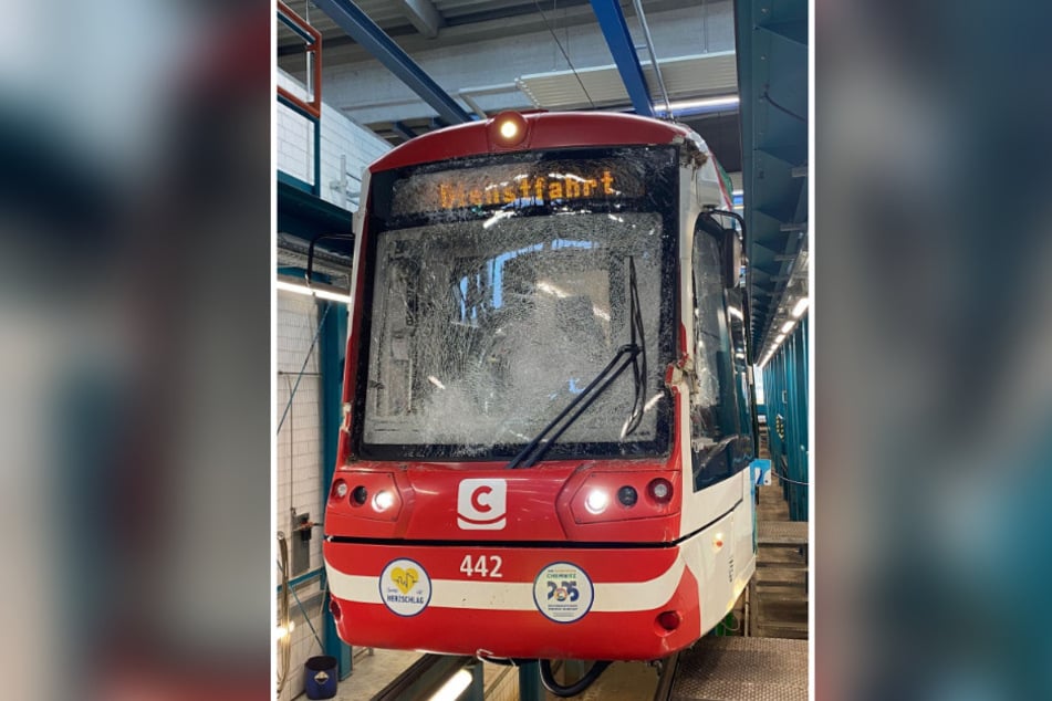 Der Citylink fuhr Ende des vergangenen Jahres gegen einen umgestürzten Baum.