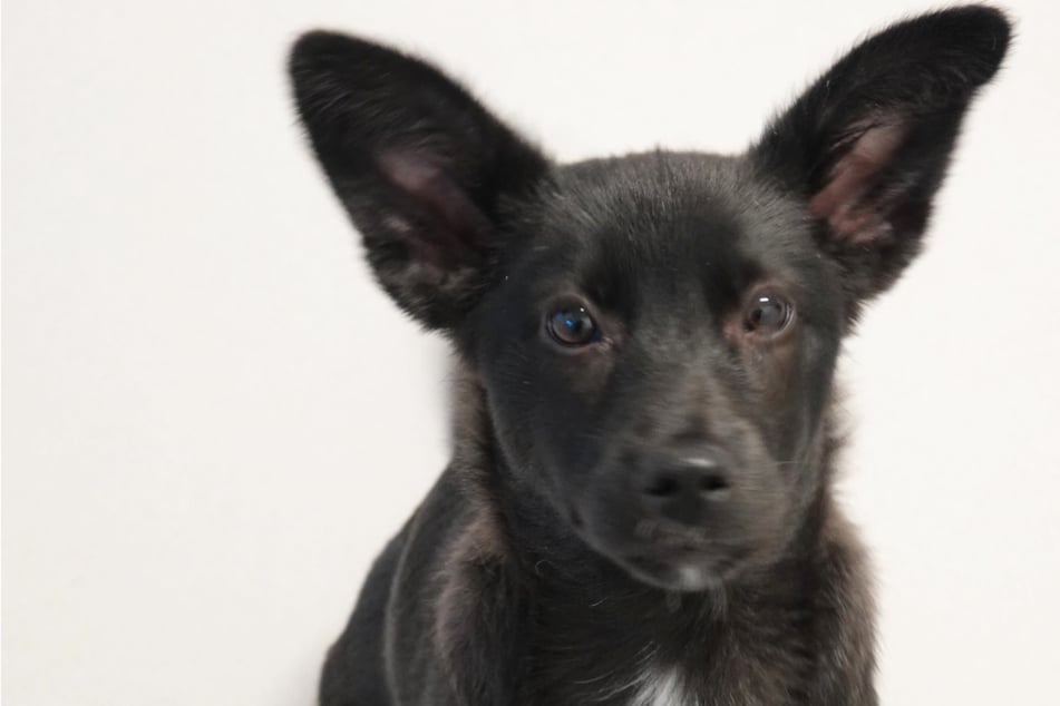 Ta malá je připravena „dobýt svět“.