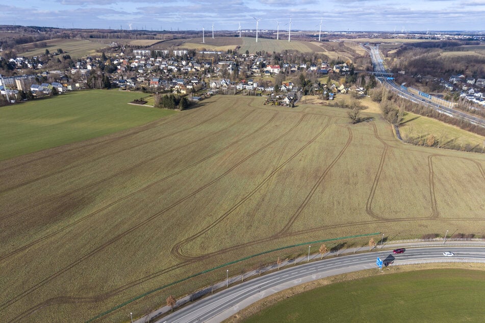 Auf diesem Feld soll der Innovationscampus entstehen.