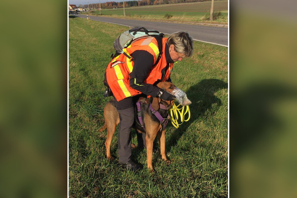 Auch die aufwendige Suche mit zwei Pet-Trailern blieb erfolglos.