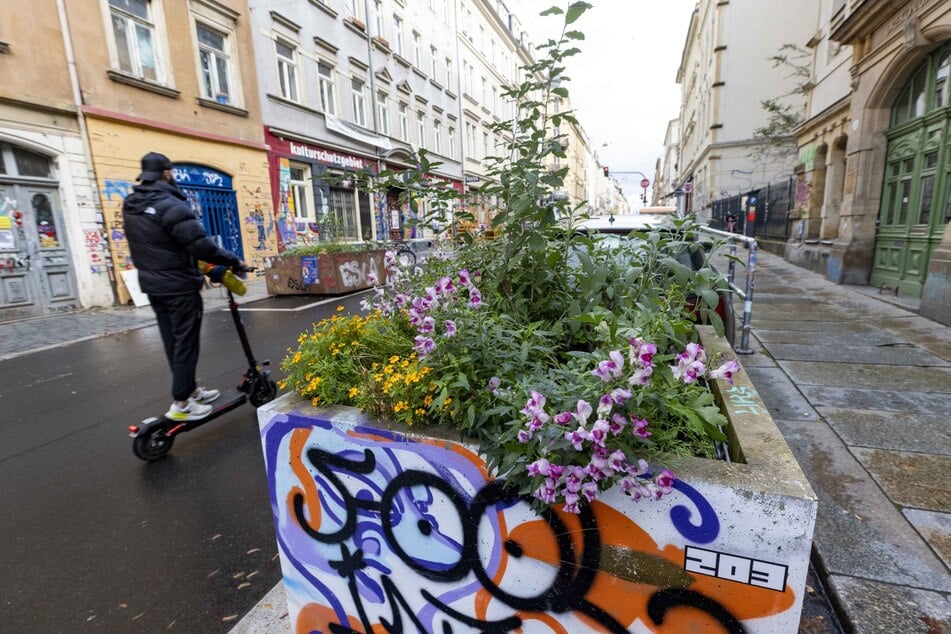 Zuletzt ließ die Stadt die Louisenstraße in der Neustadt begrünen. Die teuren Stadtmöbel fielen schnell Vandalen zum Opfer.