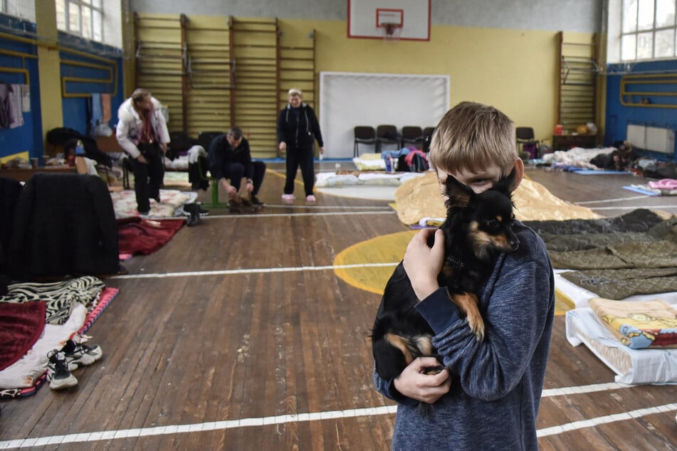 Weil viele Ukrainer mit Hund und Katze anreisen: Geflüchtete Haustiere bekommen ein eigenes Zelt