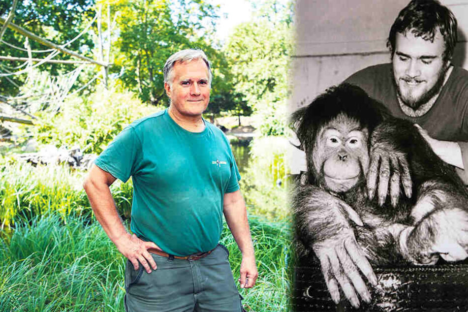 Kümmert sich seit 1972 um "seine" Djaka: Revierleiter Gerd Grätz (63). Beide zusammen im Jahr 1982 (r.). (Bildmontage)