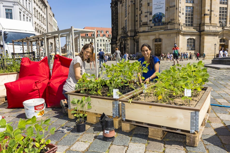 Christine Hausdorf (41, l.) und Veronica Schmidt-Cotta (35) bepflanzen die Hochbeete des Palais Sommers.