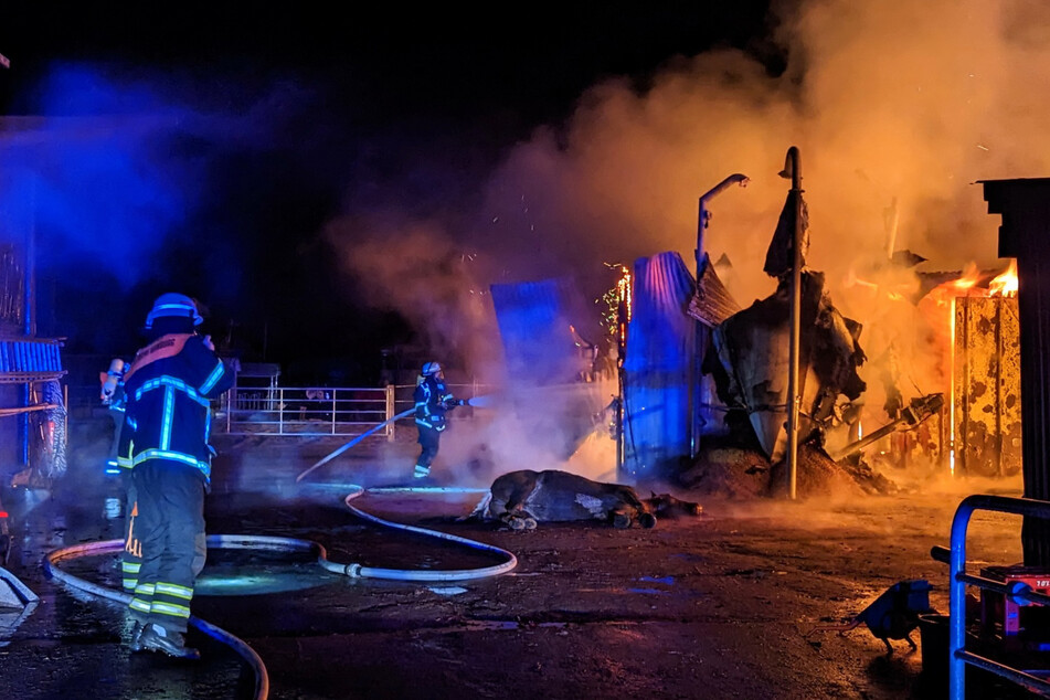 In Rahlstedt steht ein Pferdestall in Flammen. Mehrere Pferde sind den Flammen zum Opfer gefallen.