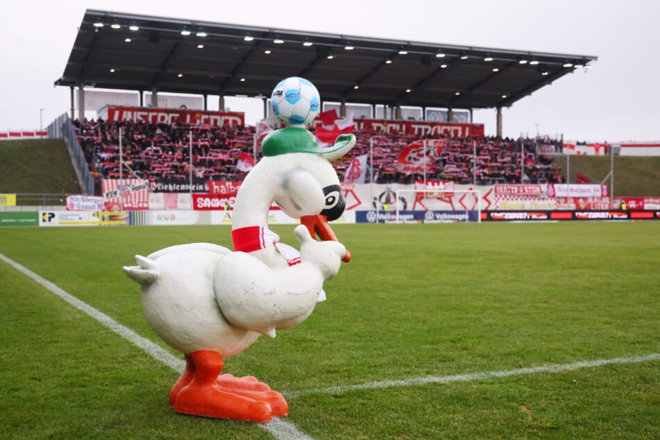 Betreten verboten! Aktuell darf kein Schwan auf den Rasen der GGZ Arena.