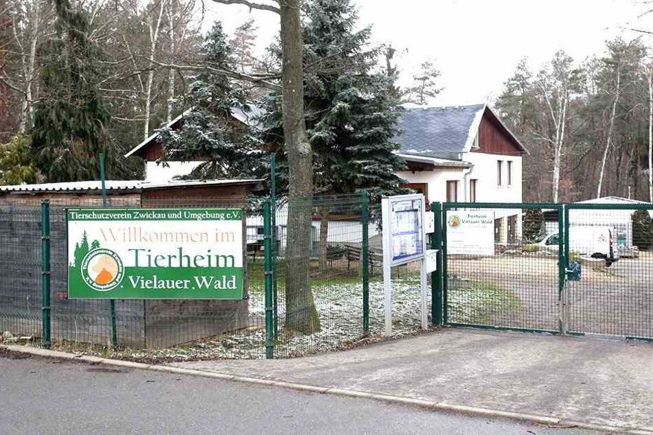 Wird das Tierheim Vielauer Wald wirklich geschlossen?