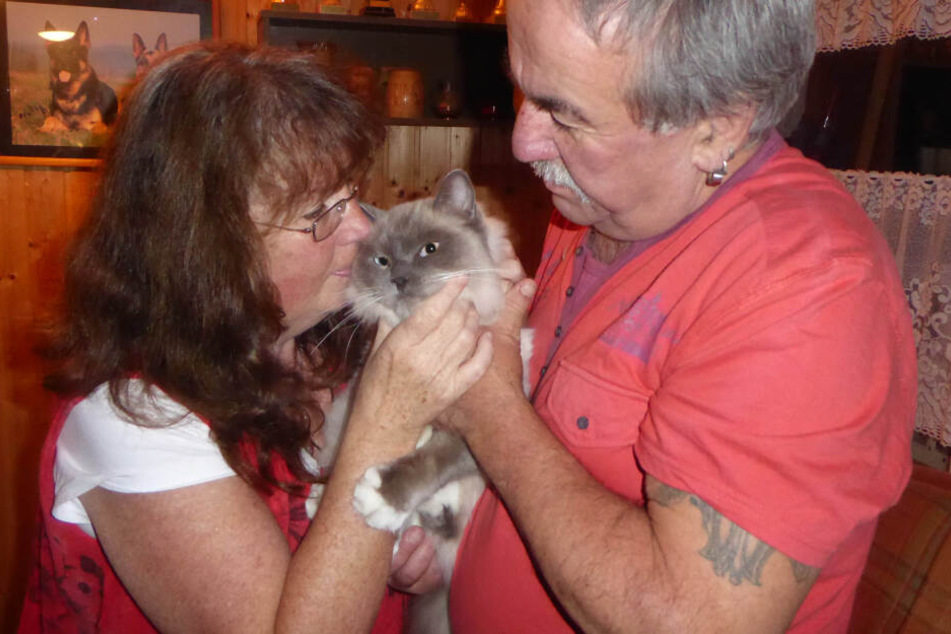 Sabine Köhn (53) und Jürgen Burkert (67) sind überglücklich, das Kater Nero wieder da ist.