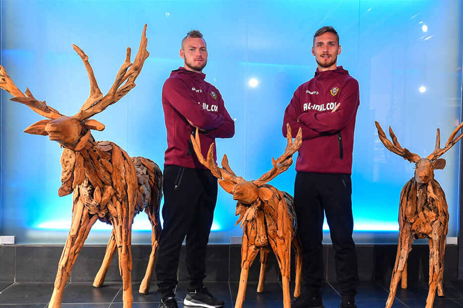 Das "Elch-Quintett": Brian Hamalainen (l.) und Linus Wahlqvist sind Dynamos Nordmänner.