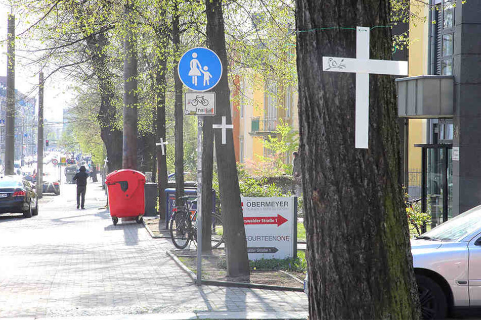 An den Bäumen an der Königsbrücker hängen die weißen Kreuze.