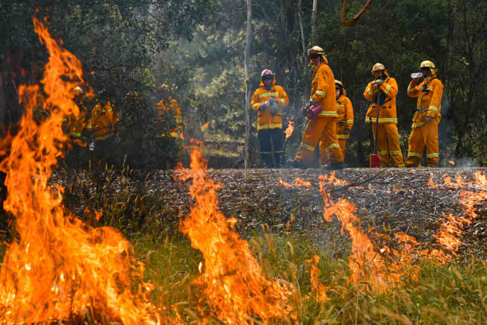 Brände in Australien am 7. Januar 2020.