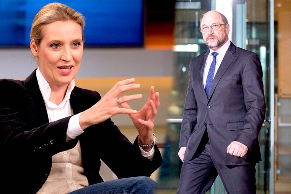AfD und SPD fast gleichauf