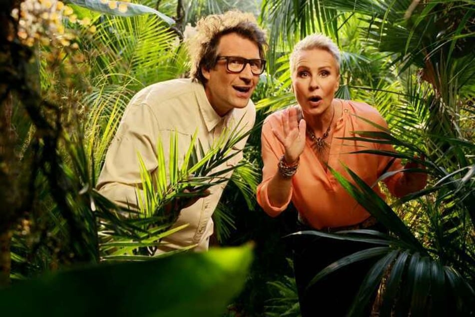 Auch die Jubiläums-Staffel von "Ich bin ein Star - Holt mich hier raus" wird in gewohnter Manier von Sonja Zietlow (53) und Daniel Hartwich (43) moderiert.