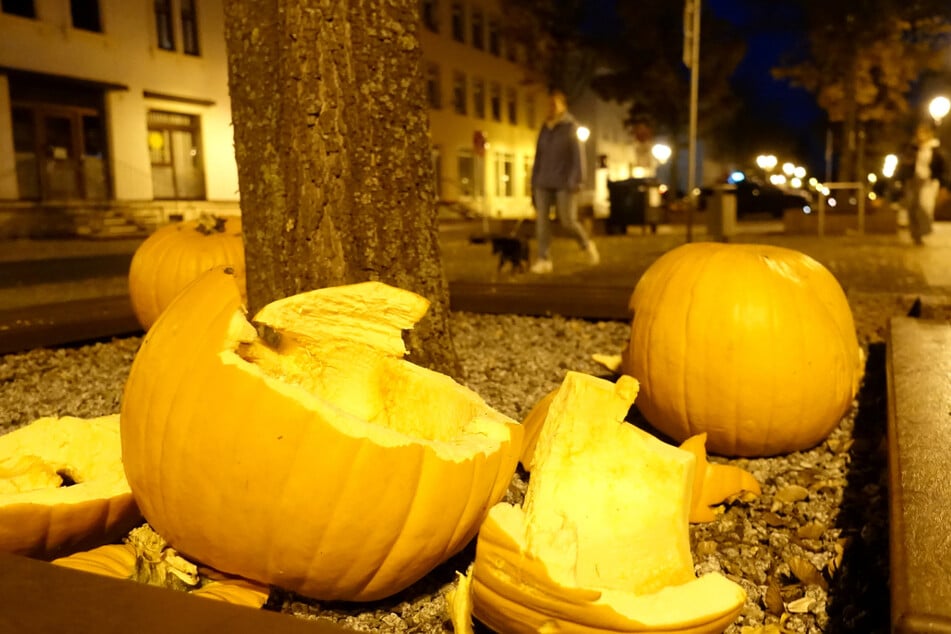 Ein Großteil der Kürbisse wurde einfach kaputtgeschlagen.