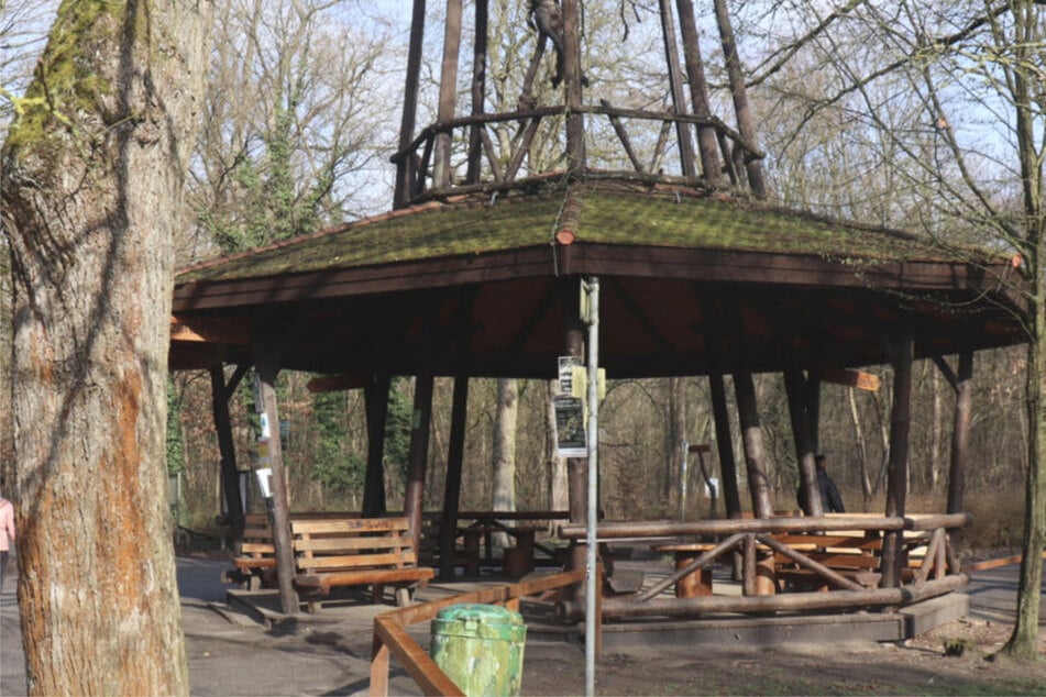 Vor Vernehmungs-Termin getötet: Neue Details im Mordfall der 19-jährigen Mannheimerin