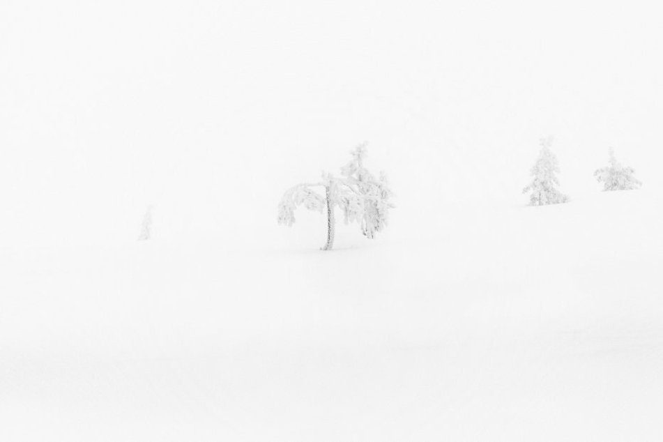 Das Nominee-Foto aus der "Whiteout"-Serie.