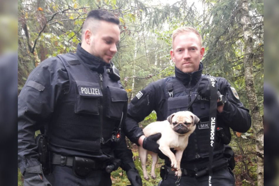 Die Polizisten fingen den kleinen Mops ein.