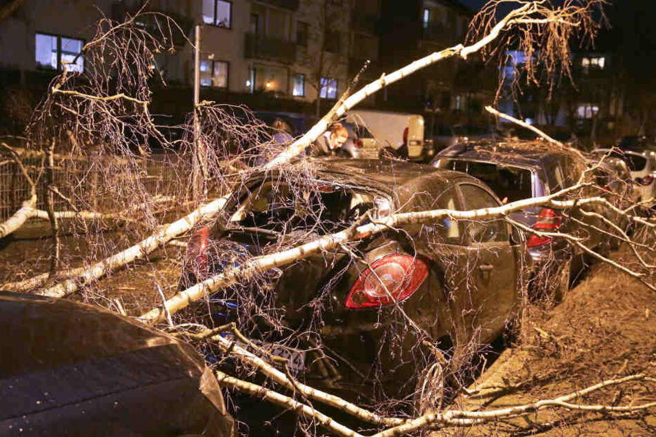 Ein geparktes Auto ist in Düsseldorf von einem umgestürzten Baum bedeckt.