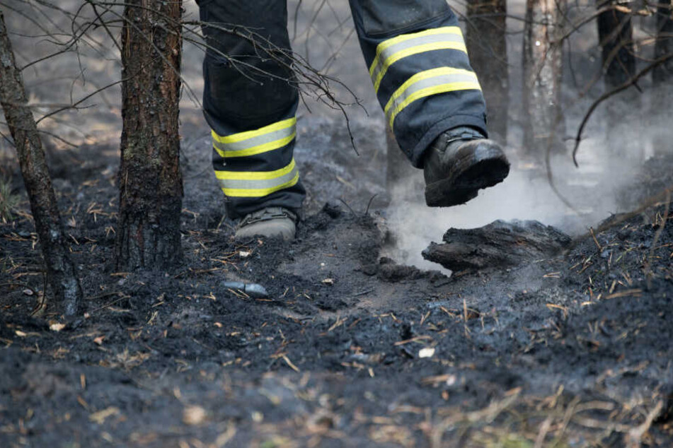 Immer wieder führen auch Unachtsamkeiten von Waldbesuchern zu Bränden. (Symbolbild)
