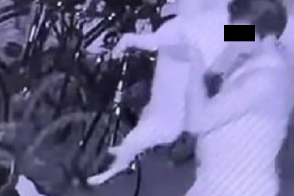 Überwachungs-Kamera zeichnet widerliche Tat auf: Mann vergewaltigt Hündin