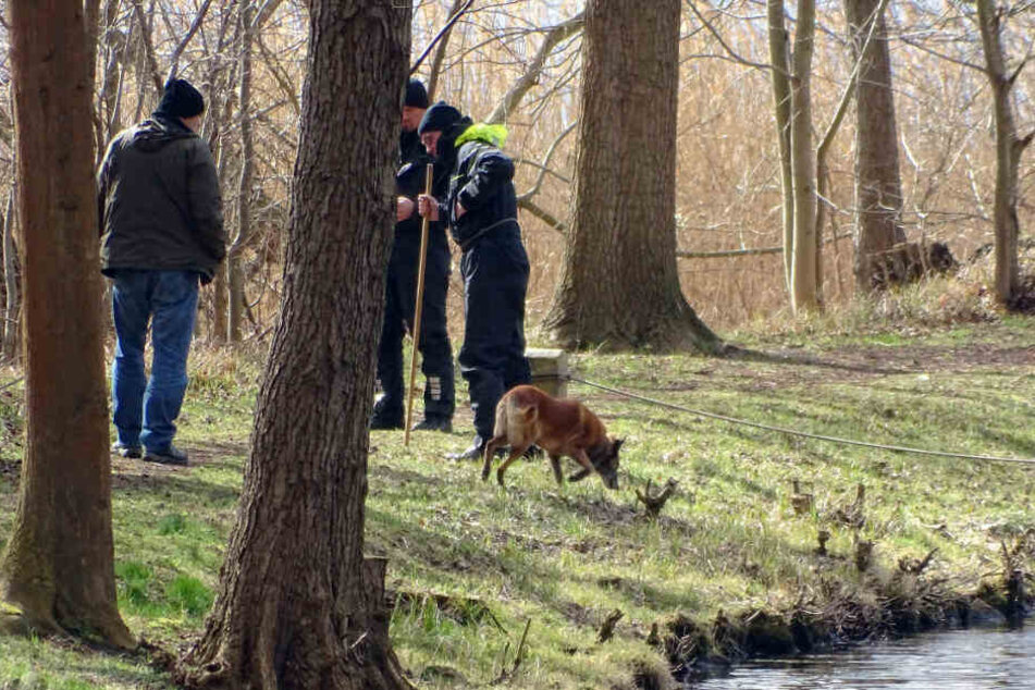 Polizisten setzten ihre Suche auf dem Wolziger See fort.