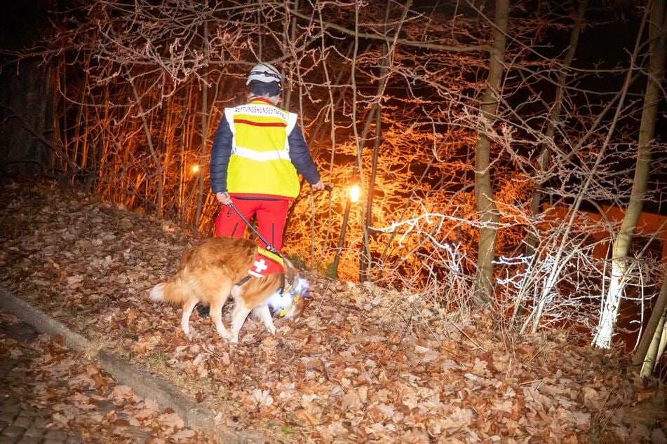 In der Nacht auf Samstag wurde fieberhaft nach dem Rentner in Waldheim gesucht. Auch ein Fährtenspürhund kam zum Einsatz.