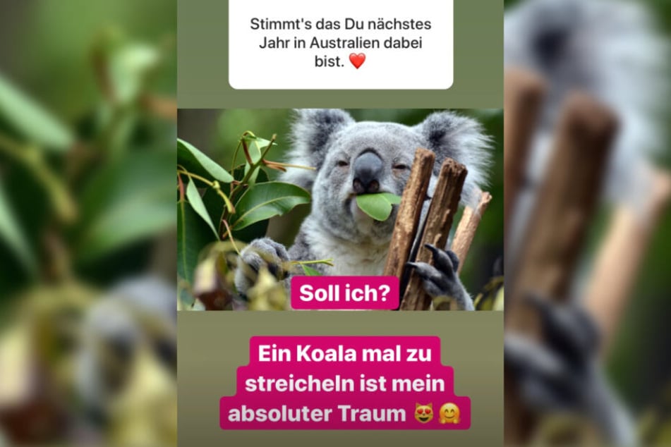 Dieser Screenshot zeigt eine Instagram-Story von Anastasiya Avilova.