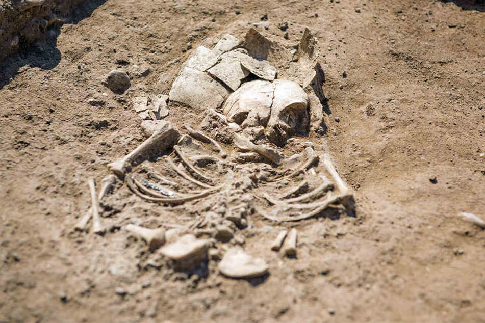 Bei dem Leichnam handelt es sich um eine Frau, die 45 Jahre alt wurde. (Symbolbild)