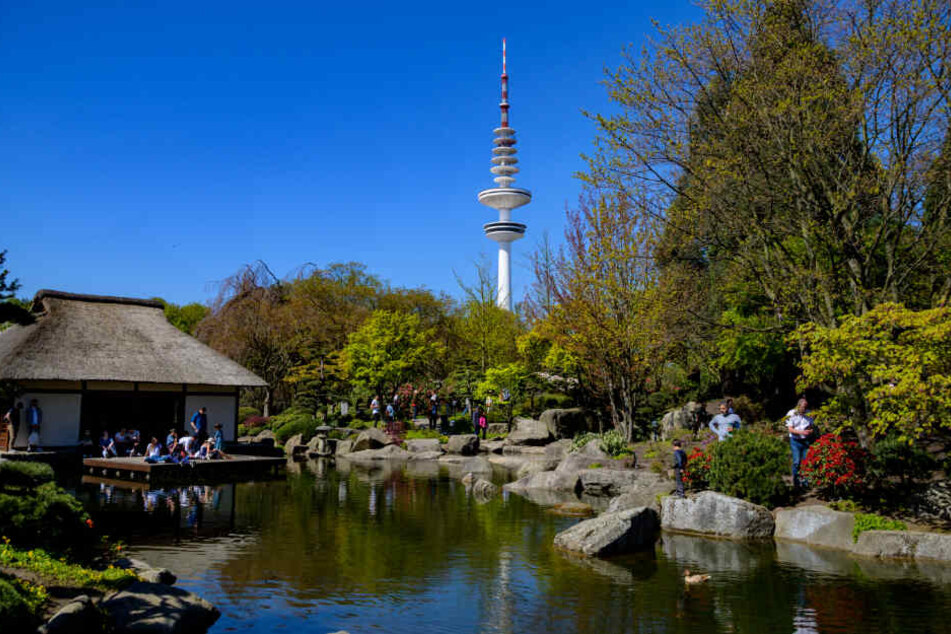 Bei blauem Himmel und Sonnenschein genießen Besucher den japanischen Garten in der Anlage Planten un Blomen.