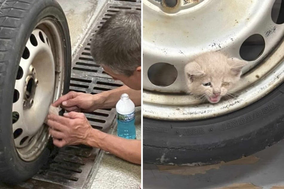 Terrified kitten found with head stuck in a car tire as firefighters race to save him