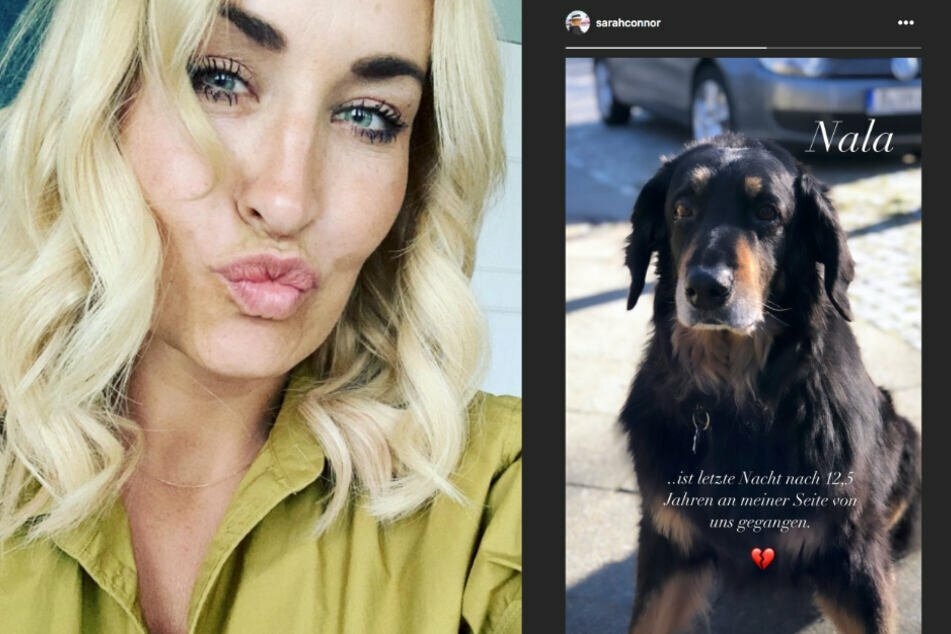 Vor rund einem Jahr nahm Sarah Abschied von ihrem Hund Nala.