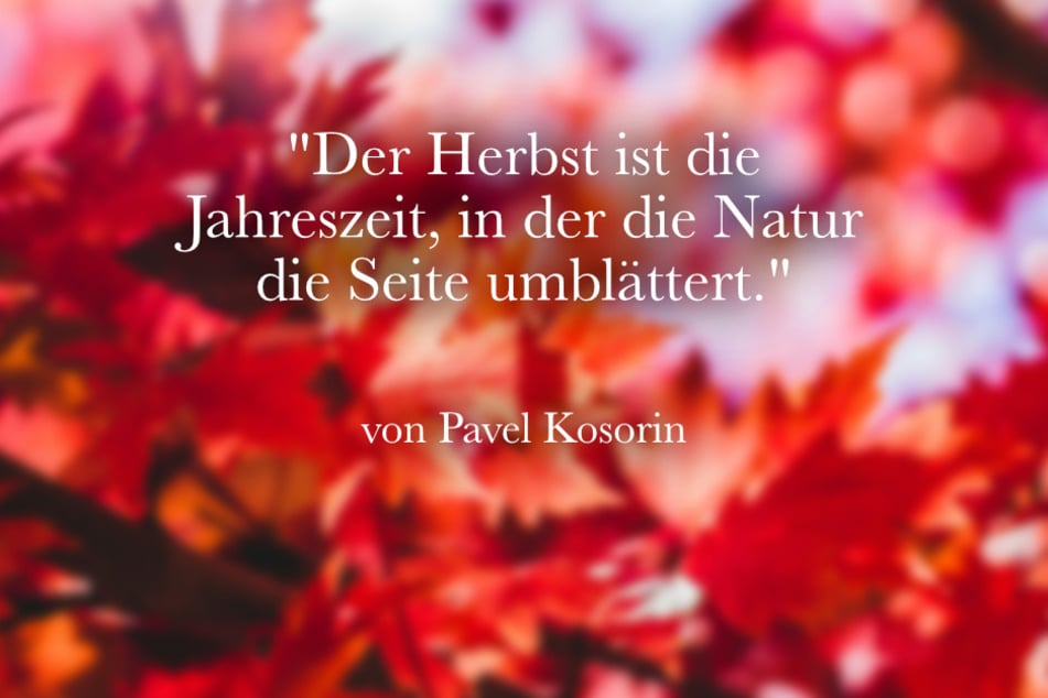 Ein schöner Spruch ist das Zitat "Der Herbst ist die Jahreszeit, in der die Natur die Seite umblättert." von Pavel Kosorin.