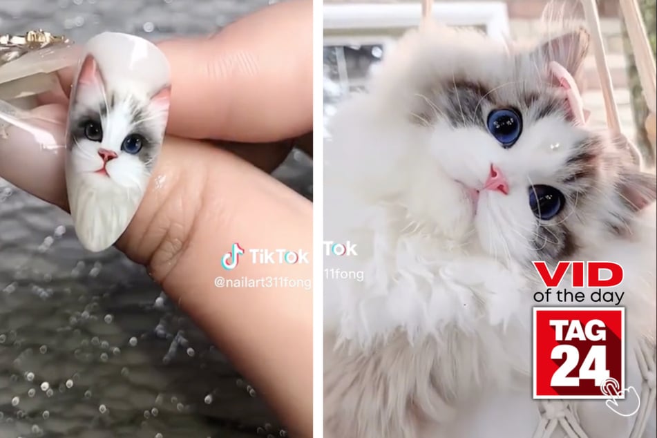 Today's Viral Video of the Day shows cats can be a great subject for nail art.